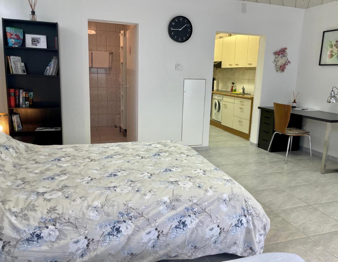 Studio In Stadtnaehe Zuerich Mit Guter Verkehrsanbindung Adliswil Экстерьер фото